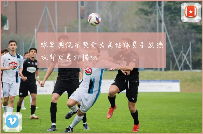 球爹调侃东契奇为高估球员引发热议背后真相揭秘