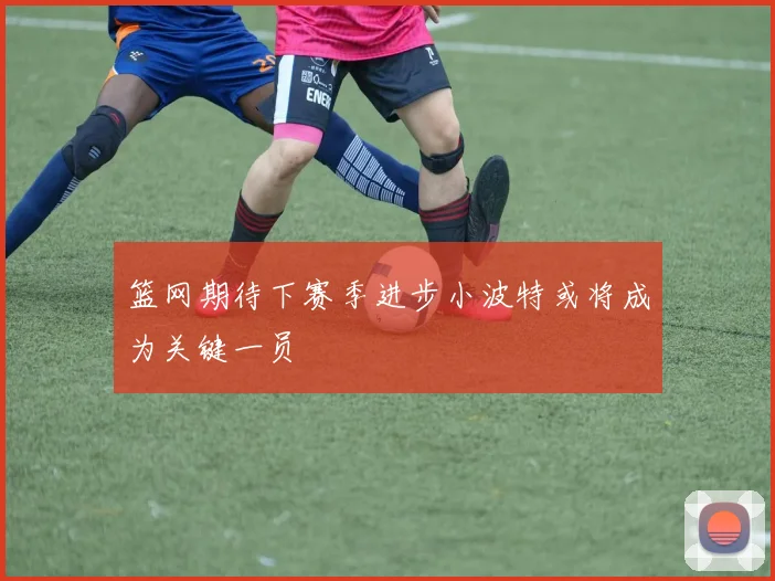 篮网期待下赛季进步小波特或将成为关键一员